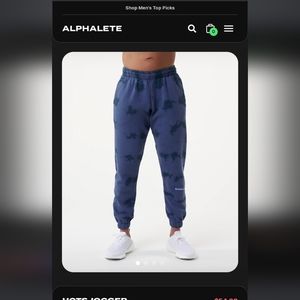 HCTS alphalete joggers